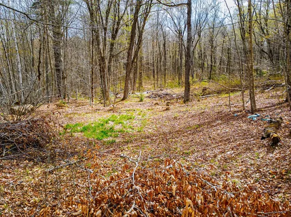 1053 Miller Pond Road, Grantham, NH 03753