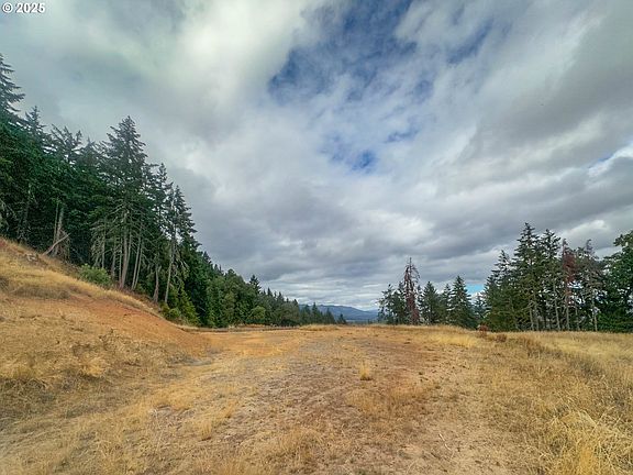 5th image of 584 Buzz Mountain Ln