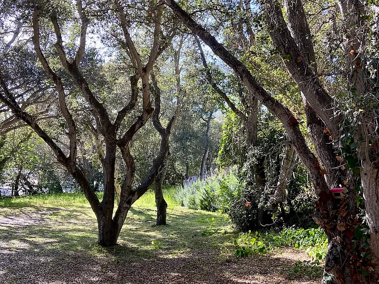 Atherton Dr — Photo 34