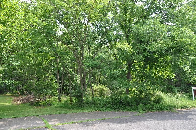2nd image of 10 Beechwood Rd