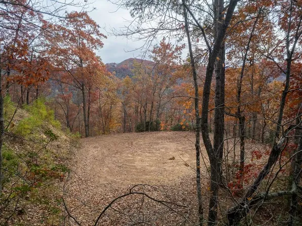 3 Wolf Creek Hts, Almond, NC 28702