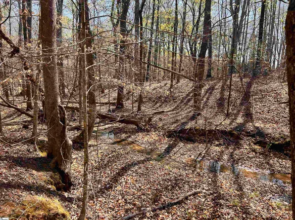 0 Bramlett Rd, Laurens, SC 29360