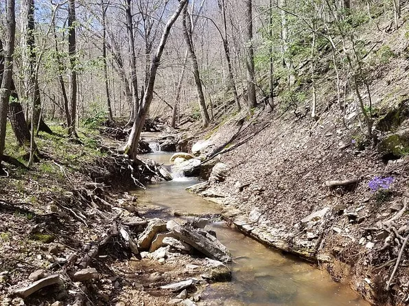 18312 Woodland Meadows Dr, Glencoe, MO 63038