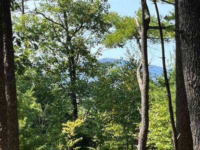 Old Stoddard Road, Hancock, NH, 03449
