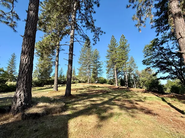 16824 Pine Grove Reservoir Rd, Nevada City, CA 95959