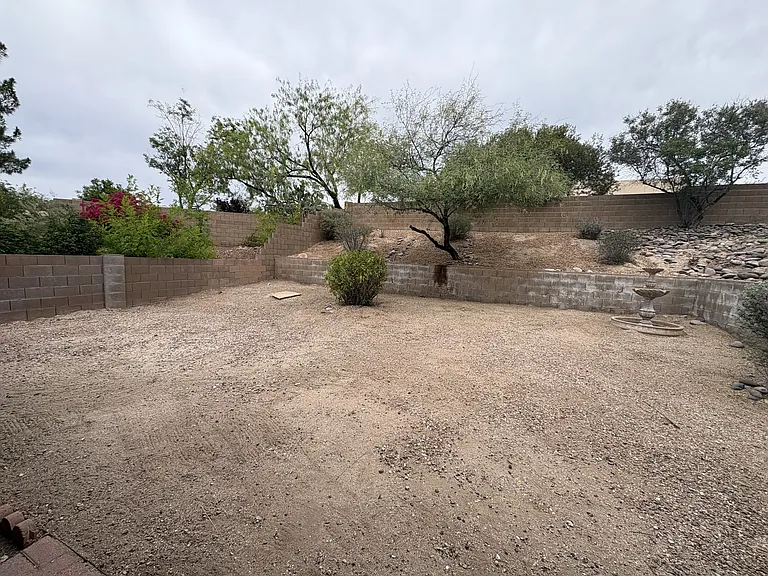 Rear yard area