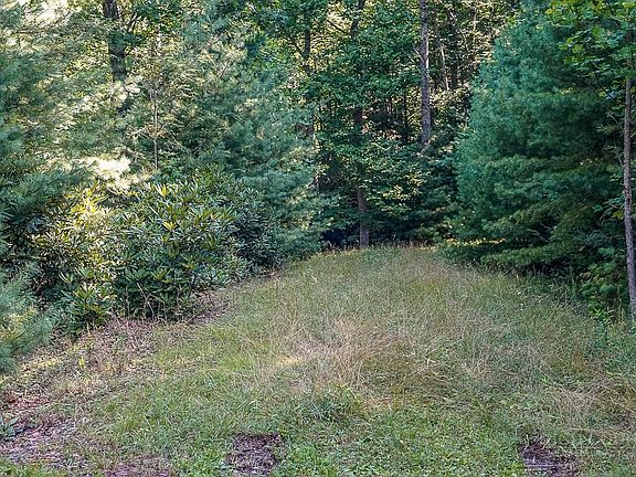 4th image of Lot 5 Dream Forest Path