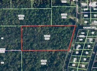 10520 S Le Baron Dr, Homosassa, FL 34448