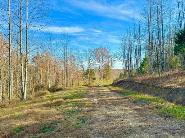 9108 S State Highway 501 Tract 2-C, Liberty, KY 42539