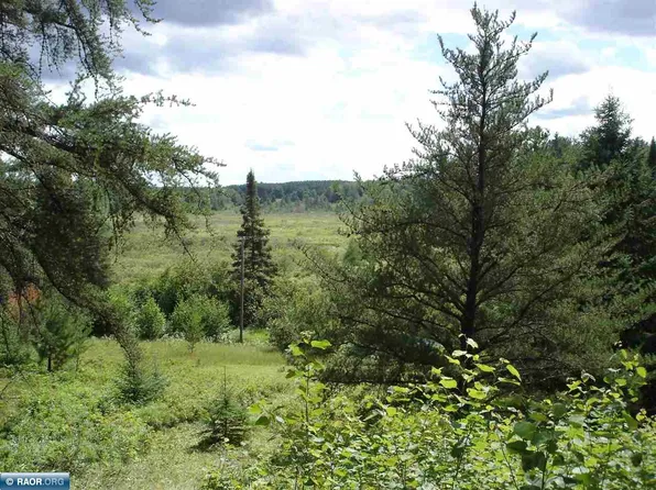 Rivers Rd, Tower, MN 55790