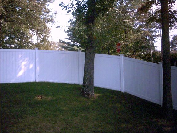 Back Yard 1