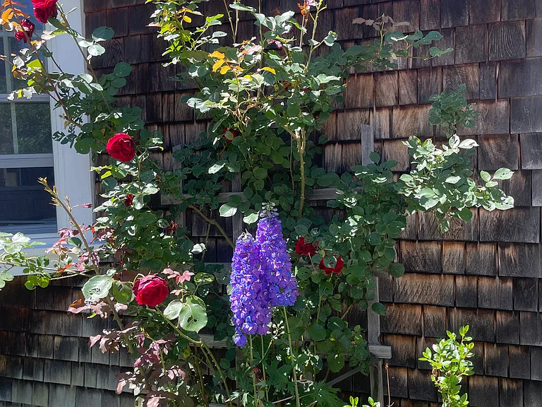 44 Briggs Rd — Photo 5