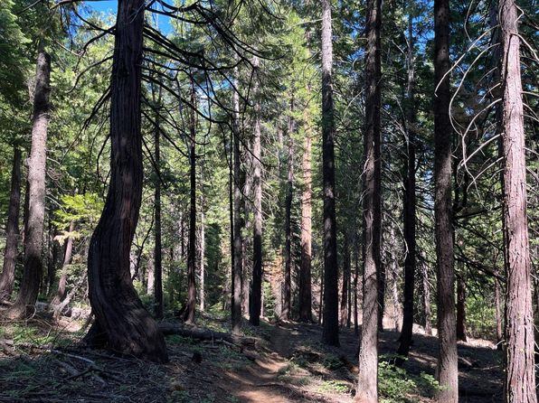 2925 Quincy La Porte Rd, Strawberry Valley, CA 95981