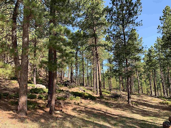 2nd image of Tbd Hazel Ln