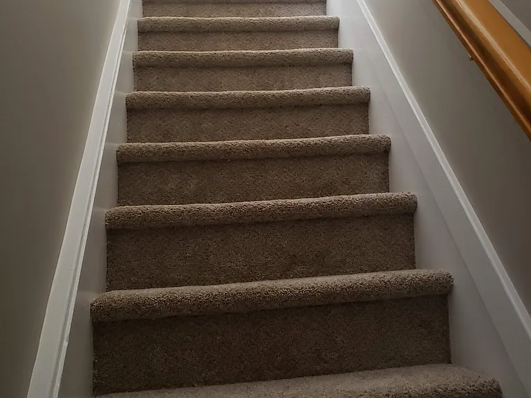 1410 Northampton St #2 — Photo 14