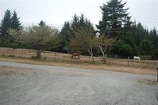 3rd image of 2626 Hillcrest Dr