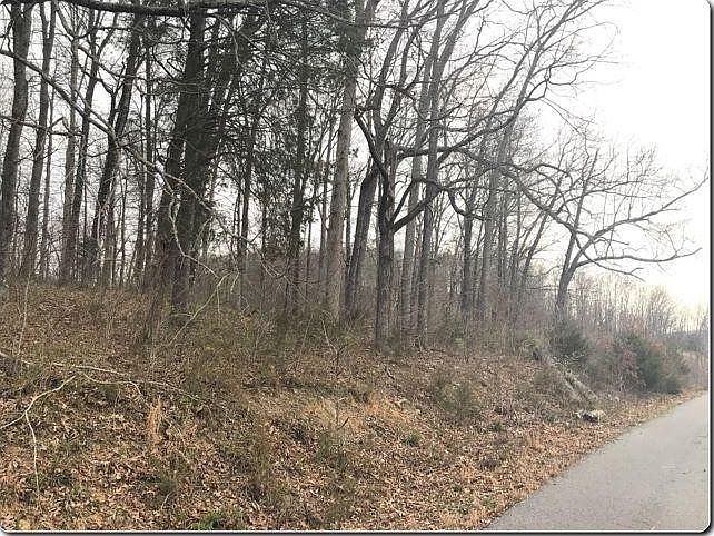 2nd image of 0 Pinto Ridge Dr Lot 9