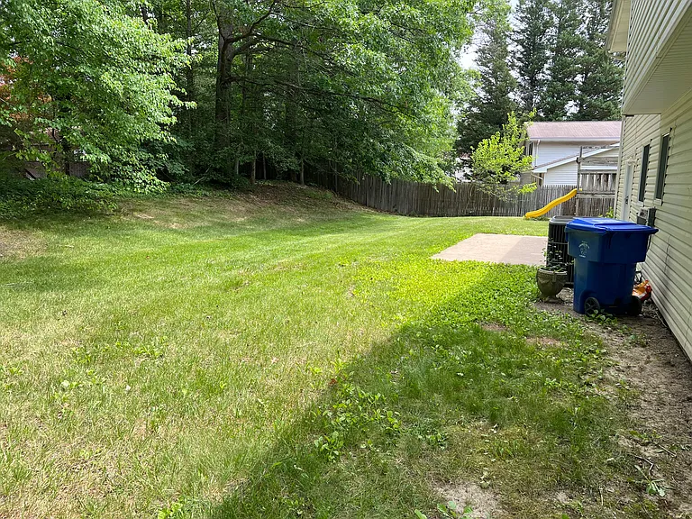 Back yard