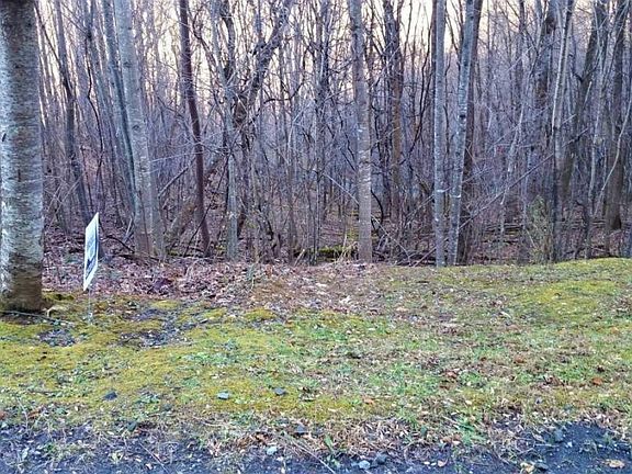 4th image of 11 Roan Springs Rd