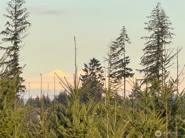 380 Hawkins Road, Winlock, WA 98596