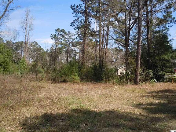 4th image of 509 Live Oak St.