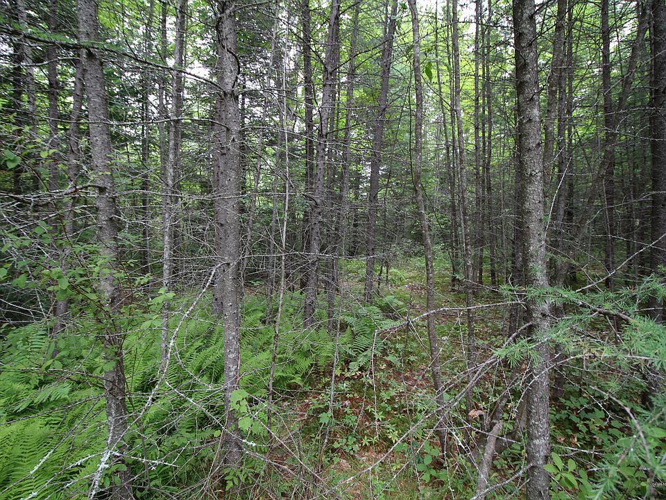 1st image of Moose Hill Dr