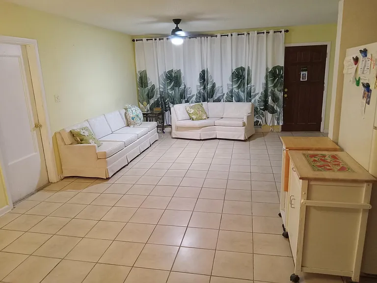 Spacious open/concept living room/kitchen with a Beautiful view of the tropical backyard from the kitchen picture window. That brown door is the front door.