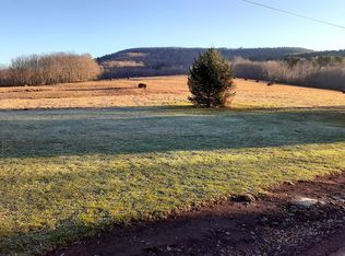 Hog Mountain Rd, Fleischmanns, NY 12430