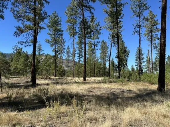 1188L Fumi Cir, Kettle Falls, WA 99141