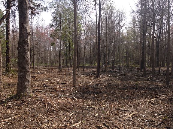3rd image of 100 Miller Dr