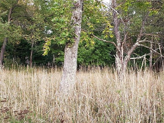 4th image of Wood Ave