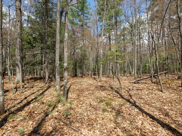 Eagle Waters Rd #6 & 7, Eagle River, WI 54521