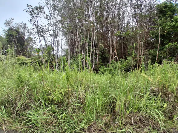 Road 7 Lot 414, Mountain View, HI 96771