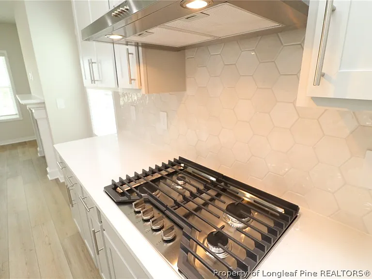 4129 Hazel Branch Way — Photo 9