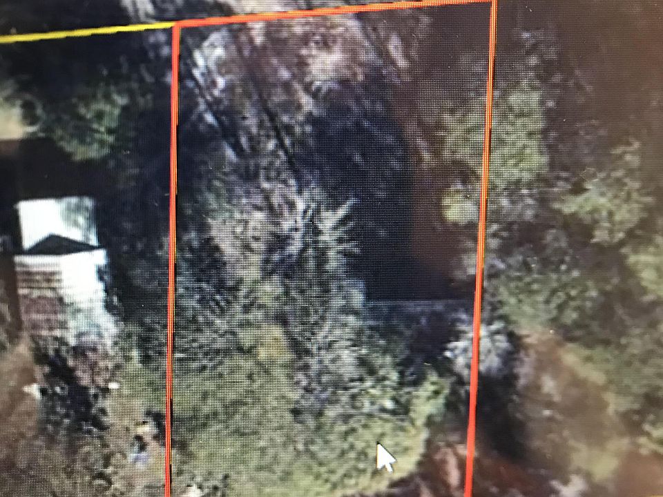 2nd image of 119 Tall Pine St