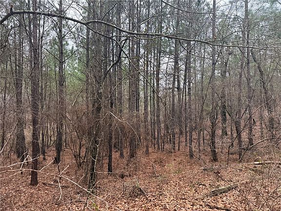 5th image of (Undisclosed Address)