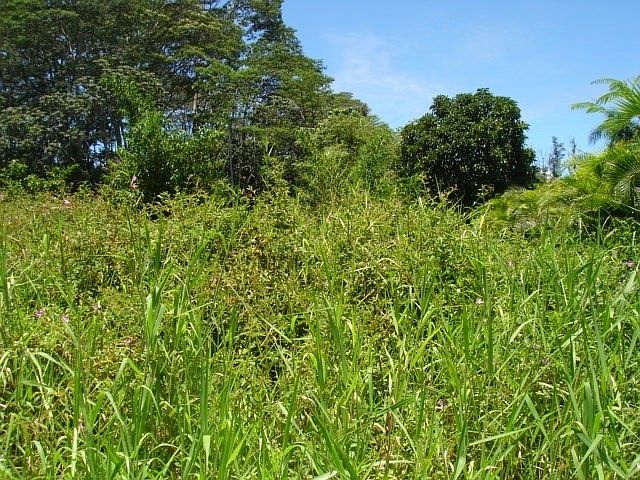 1st image of Niuhi St Lot 1379