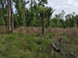 NE Willow Bend Loop, Lee, FL 32059