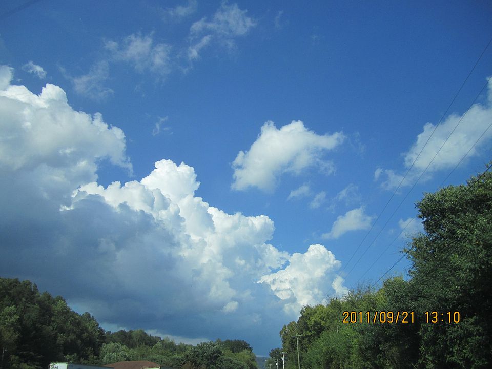 2nd image of 100 Bird Fork Rd