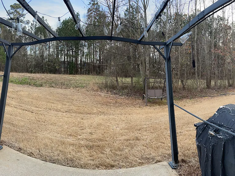 Backyard view (pano)