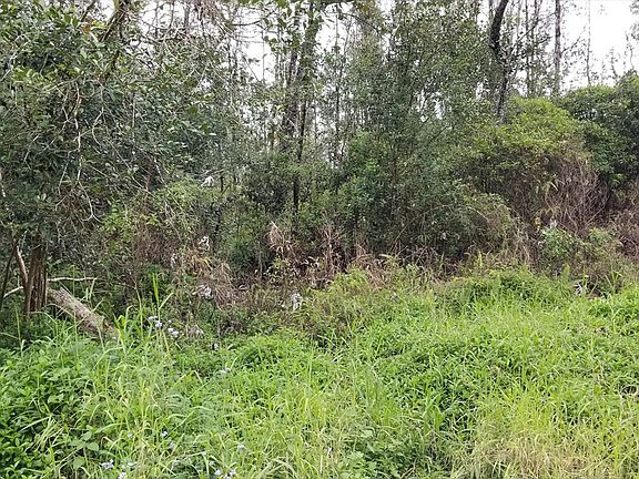 3rd image of 38th Ave Lot 31