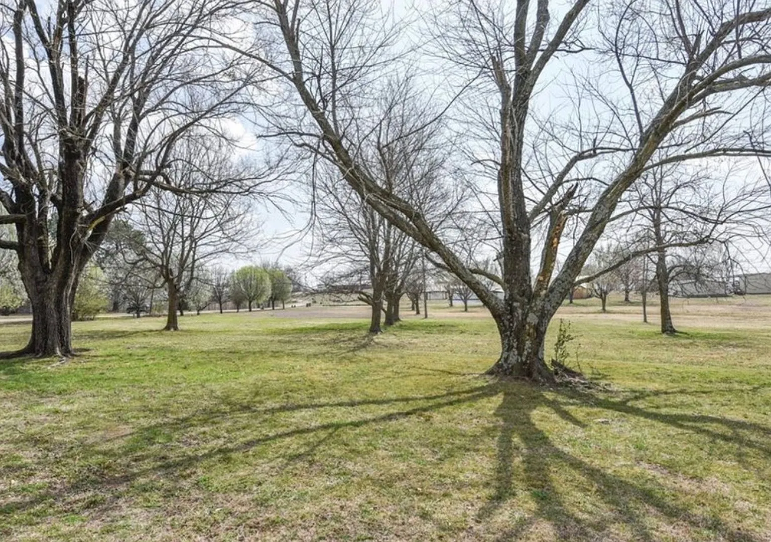 Newly remodeled home sitting on 2.5 acres — Photo 4