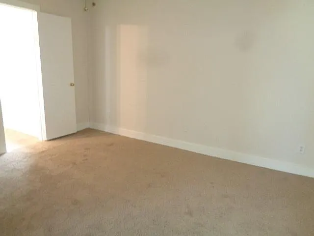 231 Silver Mist Cir — Photo 11