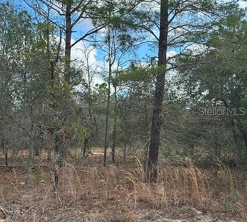 2nd image of (Undisclosed Address)