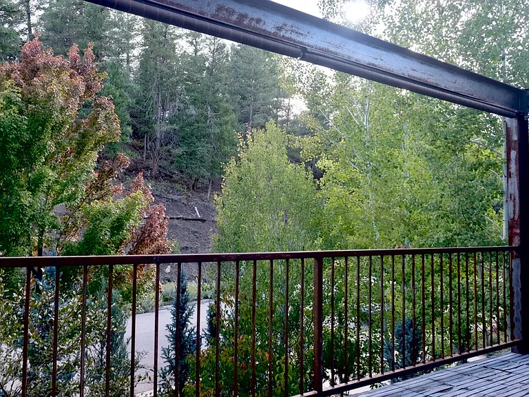 145 Ella Vita Ct — Photo 47