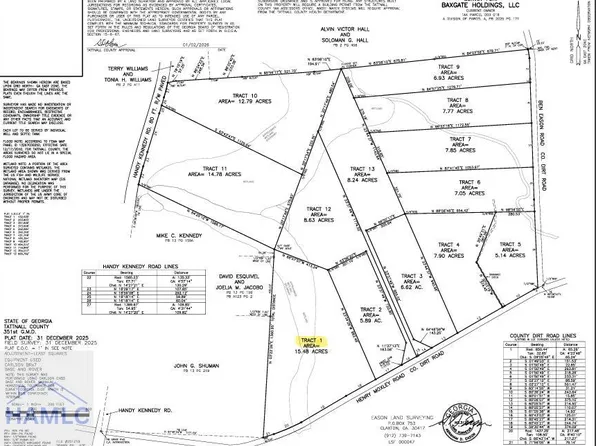 1 Henry Moxley Rd, Cobbtown, GA 30420