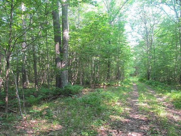 2nd image of ON BLUEBIRD RD #484 ACRES