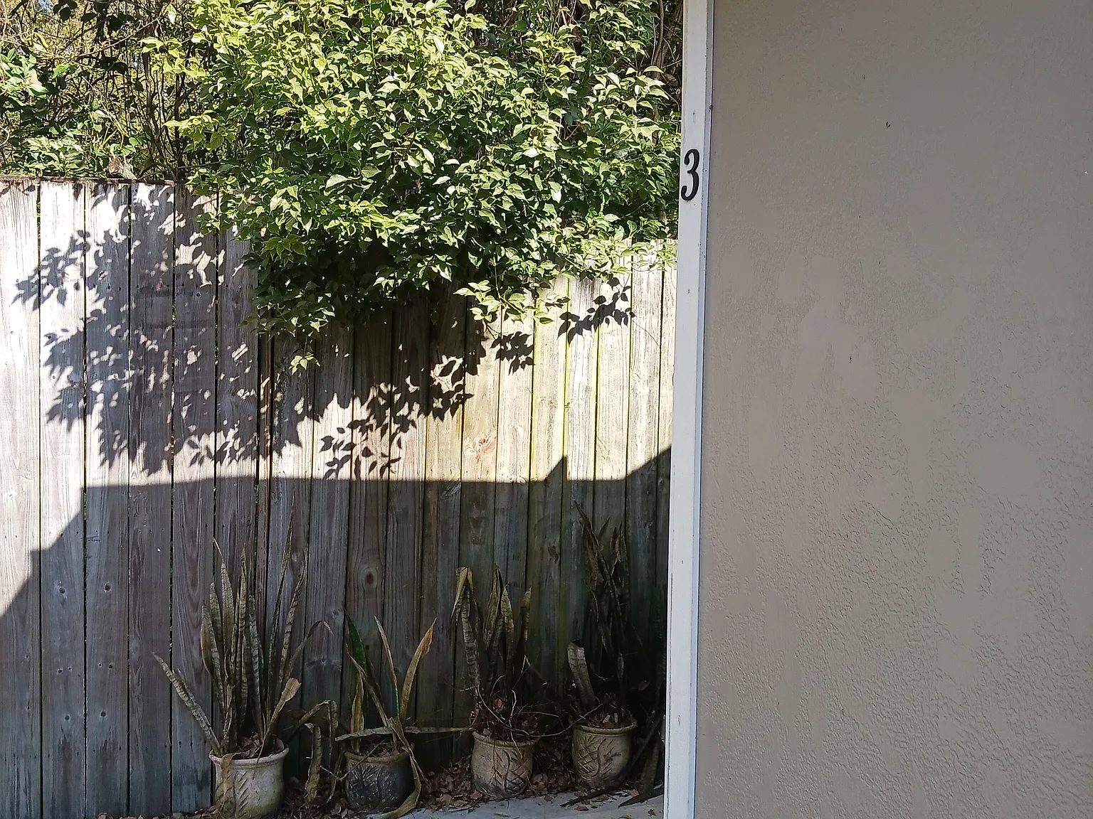 Studio, 400 sqft, $1,150 — Photo 4