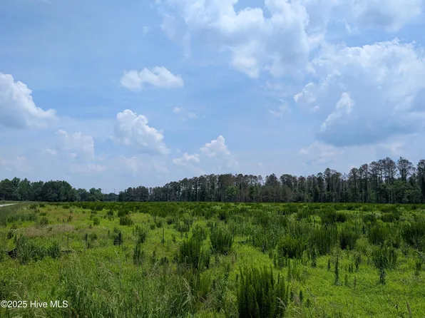 000 Cedar Fork Road, Beulaville, NC 28518