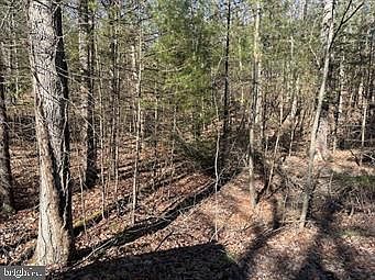 5th image of 0 Of Winding Way